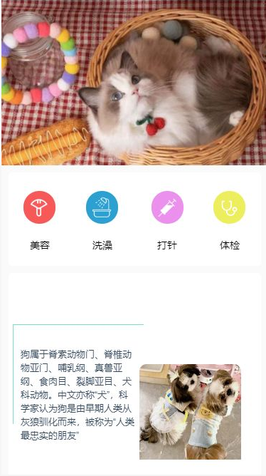 宠物之家